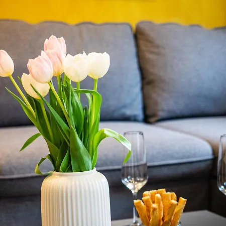 Swebenhus Boven - Mit Grosser Dachterrasse