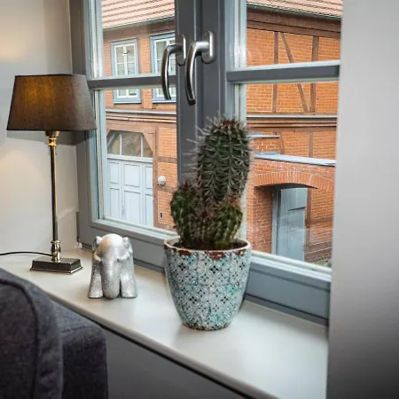 Swebenhus Boven - Mit Grosser Dachterrasse Appartamento *